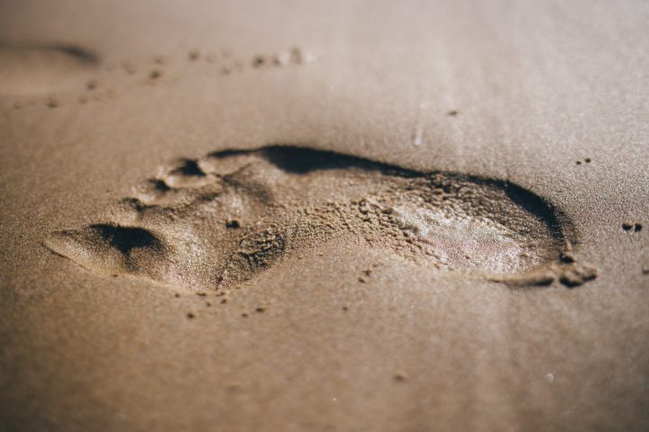 Wie groß ist Ihr ökologischer Fußabdruck?